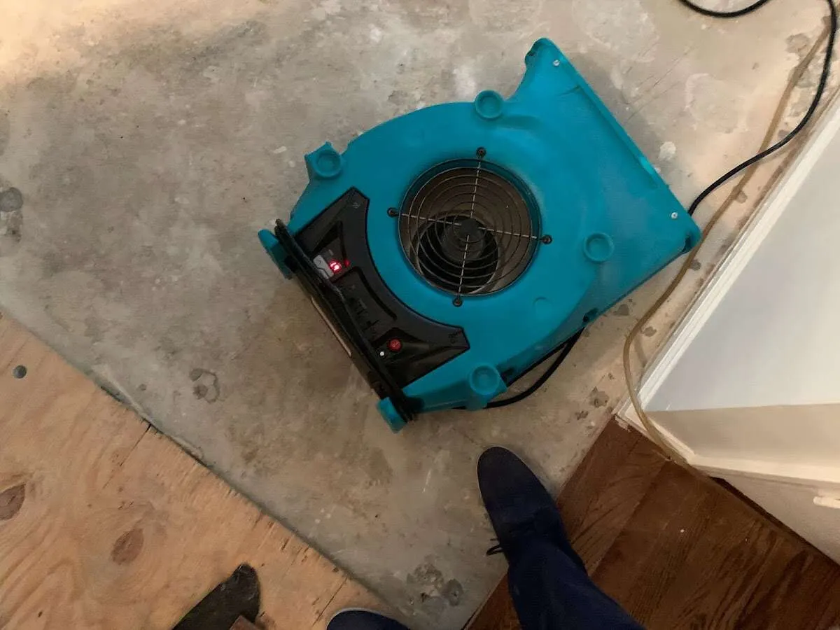 Air mover drying subfloor during Leak Detection & Repair in Marshfield